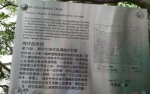 湾仔自然径2