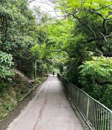 湾仔自然径4