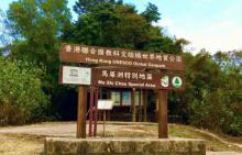 马屎洲自然步道4