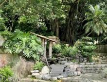 天后庙花园4