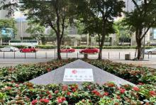 菲林明道公园1