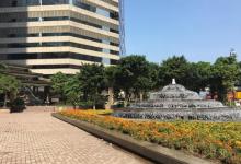 菲林明道公园9
