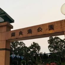 鱼涌海滨花园6