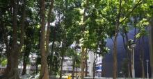 葵涌青山公路休憩处1