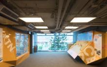 City Gallery6