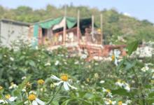 薄扶林7