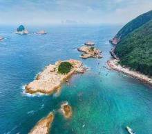 绿蛋岛4