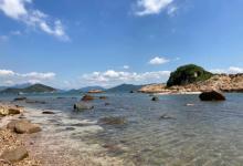 绿蛋岛3