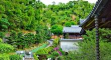 中国木结构建筑艺术馆11