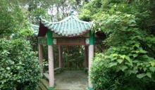 大帽山郊野公园2