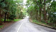 大帽山郊野公园3