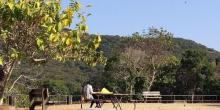 香港仔郊野公园13