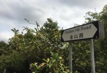 金山郊野公园17
