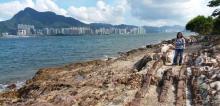马屎洲特别地区5
