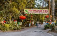 大棠有机生态园9