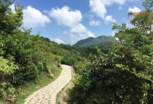 中央南丫岛远足径12