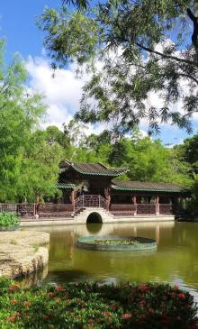 荔枝角公园6