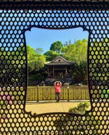 荔枝角公园15