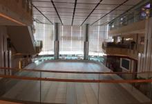 The Rink2