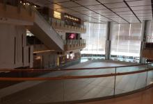 The Rink3
