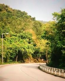 西贡东郊野公园11