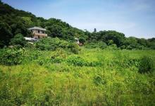南丫uO民文化村2