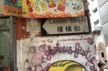 翘萁1