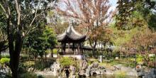 九龙寨城公园8