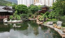 南莲园池12