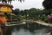 南莲园池17