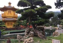 南莲园池16