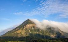大屿山郊野公园2