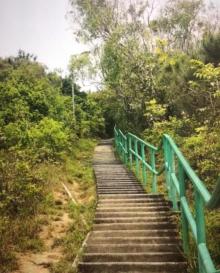 坪洲15