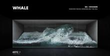 ARTE M HONG KONG 沉浸式数码艺术展馆6