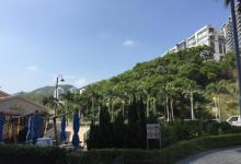 愉景湾15