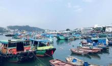 长洲岛25