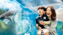 香港海洋公园4