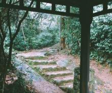 路环石面盆古道3