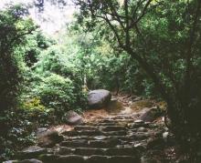 路环石面盆古道1