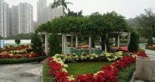市政花园3