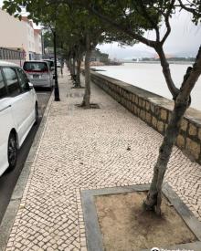Avenida 5 de Outubro6