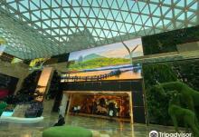 The Spectacle (MGM Cotai)5