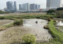 龙环葡韵人工湖湿地1