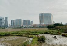 龙环葡韵人工湖湿地2