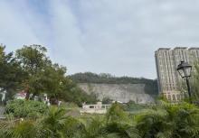 龙环葡韵人工湖湿地3