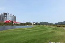 澳TP撒高夫3