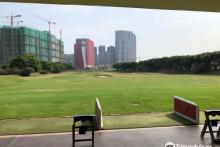 澳TP撒高夫1