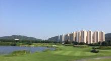 澳TP撒高夫5