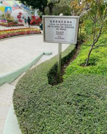 龙环葡韵花展场地3