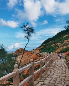 龙爪角1